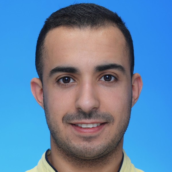 Anass Foukkai - Consultant Business Intelligence