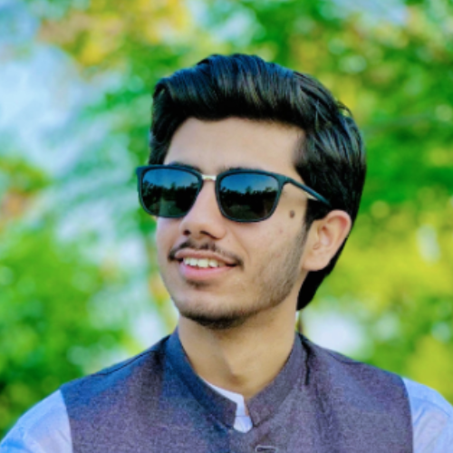 Asim M. - Website Developer