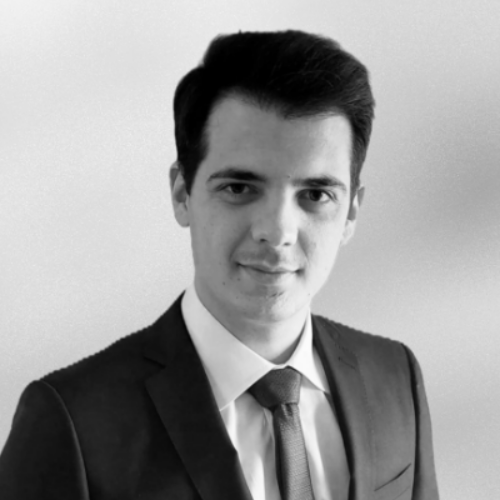 Massimo Erba - Sr. Strategy Consultant