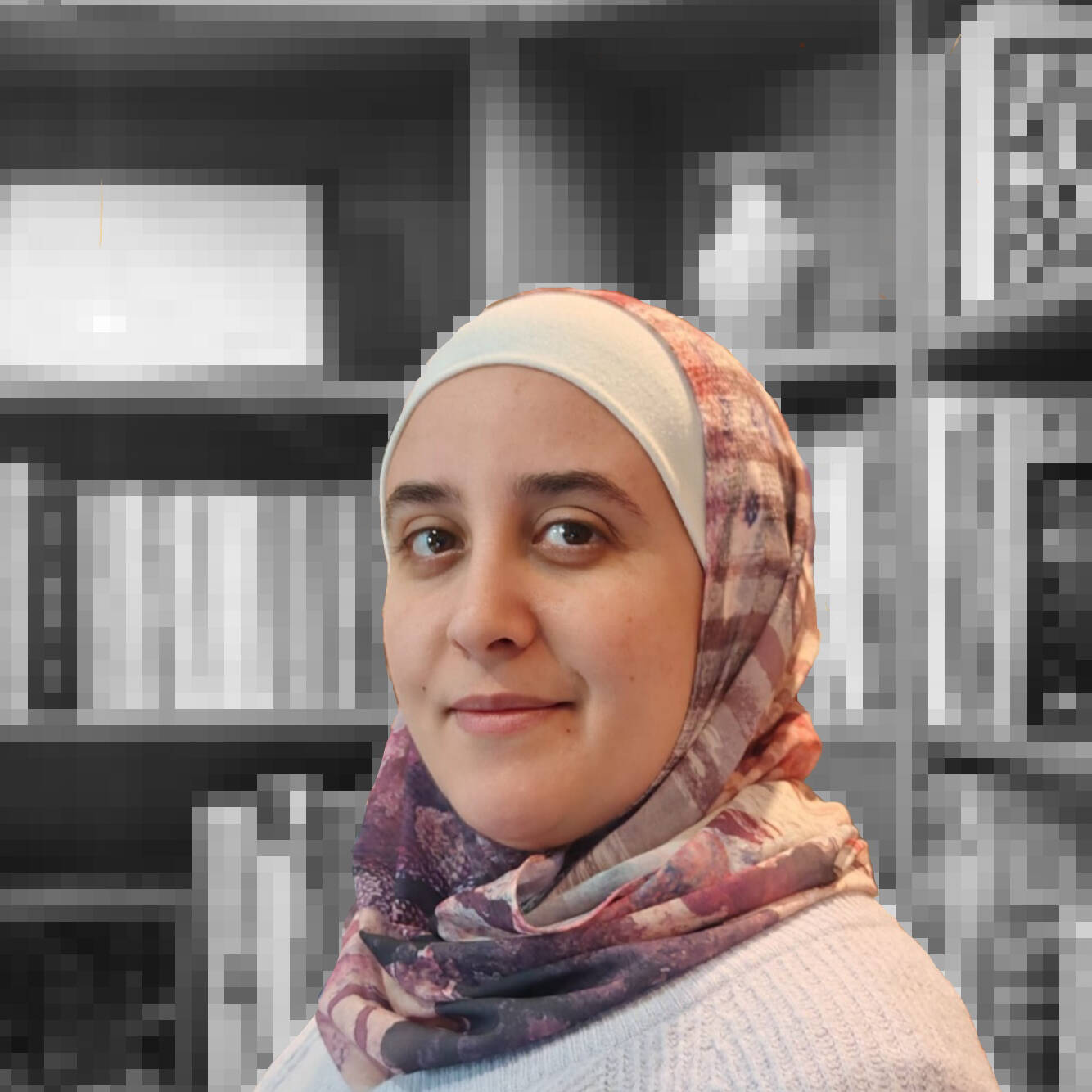 Roaa Masri - GIS/BIM Software Engineer