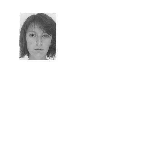 Vanessa  - LEGAL AND ADMINISTRATIVE ASSISTANT
