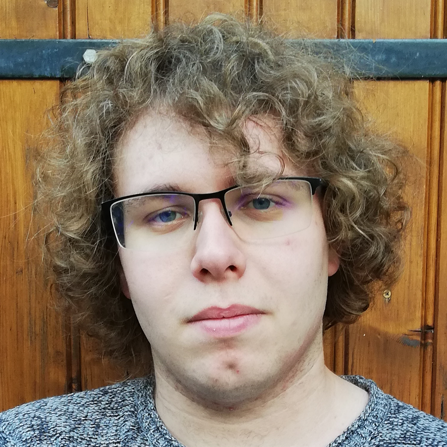 Virgil Ribeyre - Software Developer