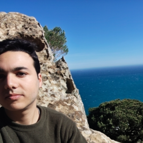 Anas  - Oracle Apex Developer | PL/SQL | web dev