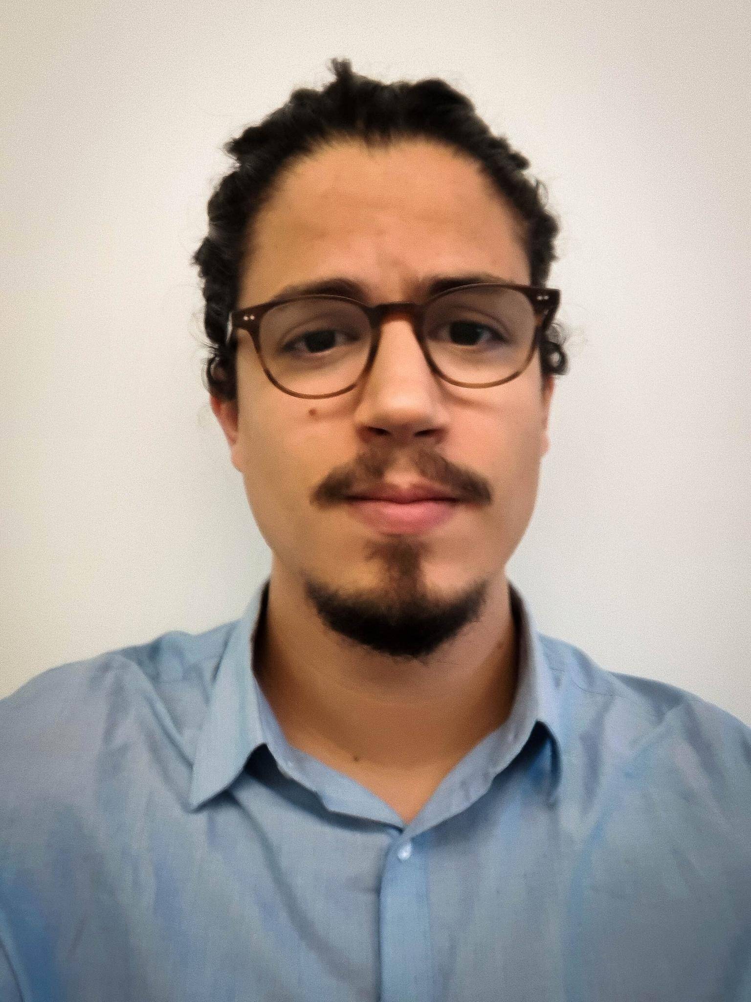 Evans Engliz-Bey - Data analyst - Chargé d'études statistiques
