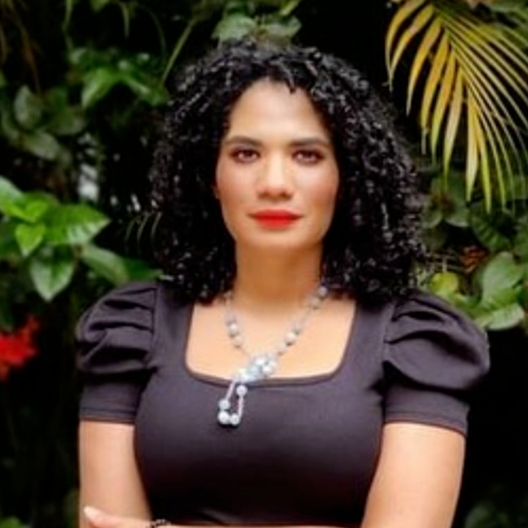 Mavel Santana Florimon - asistente virtual y lanzamientos online