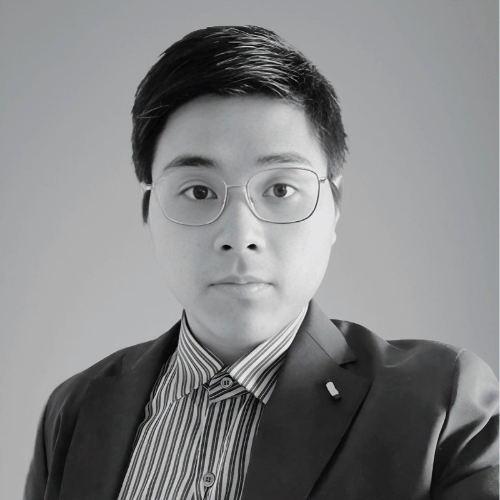 Thierry Triet Lam - Senior Analytics Engineer (Data Platform)