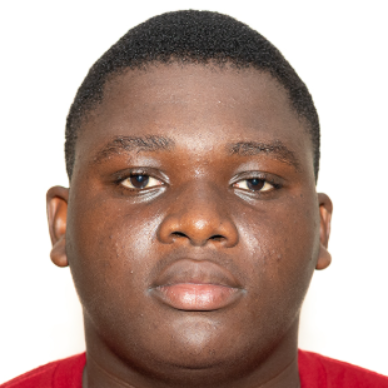 Elpidio Alexis Amoussou - Dévéloppeur Frontend