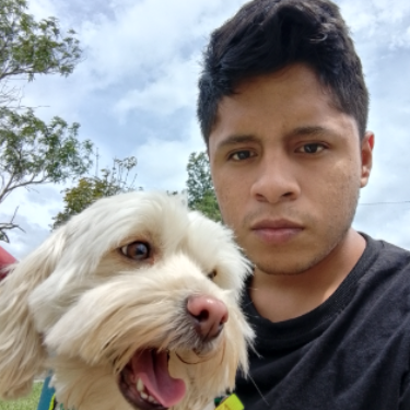 Daniel Guachamin Mero - Escritor apasionado