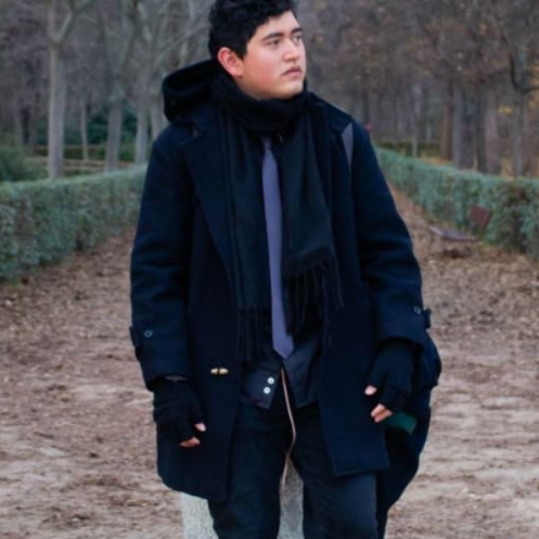 Steven Vallejo Ortiz - Arquitecto de Software & Ingeniero IA — NestJS