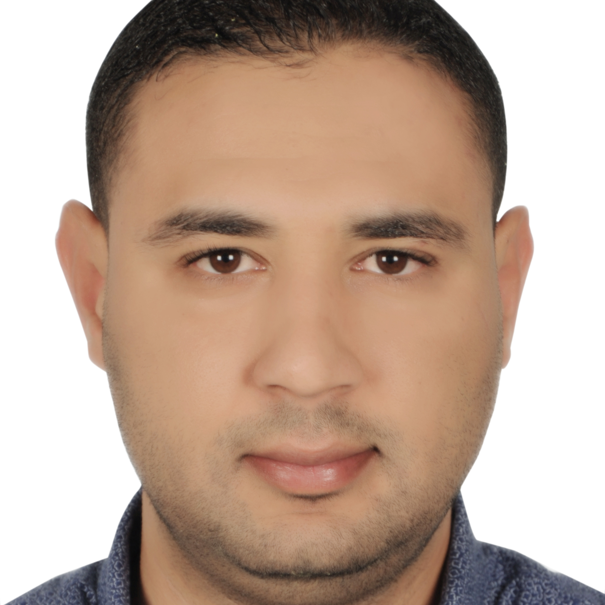 Mohamed Ali  - Senior Java Full Stack / DevOps Cloud Developer