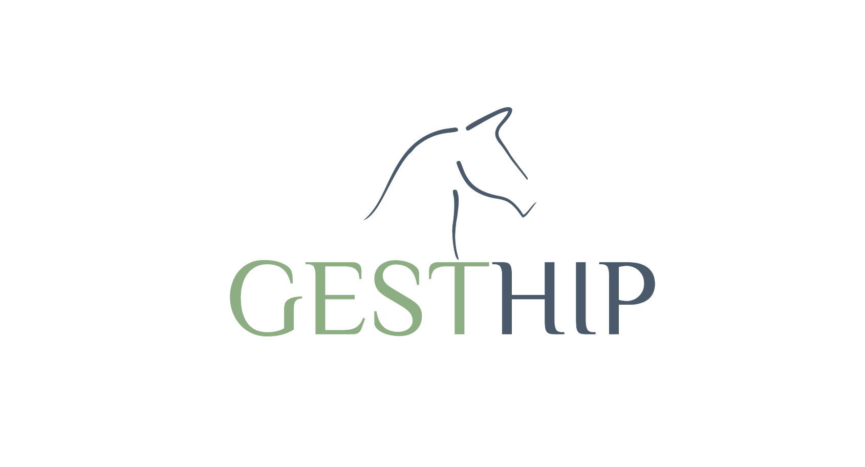 Gesthip