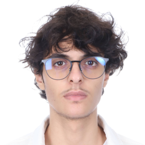 Amine Maouche