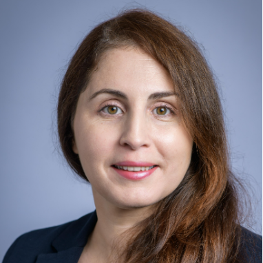 Fazia  - fp&a Consultant | IT Management Control & Costs