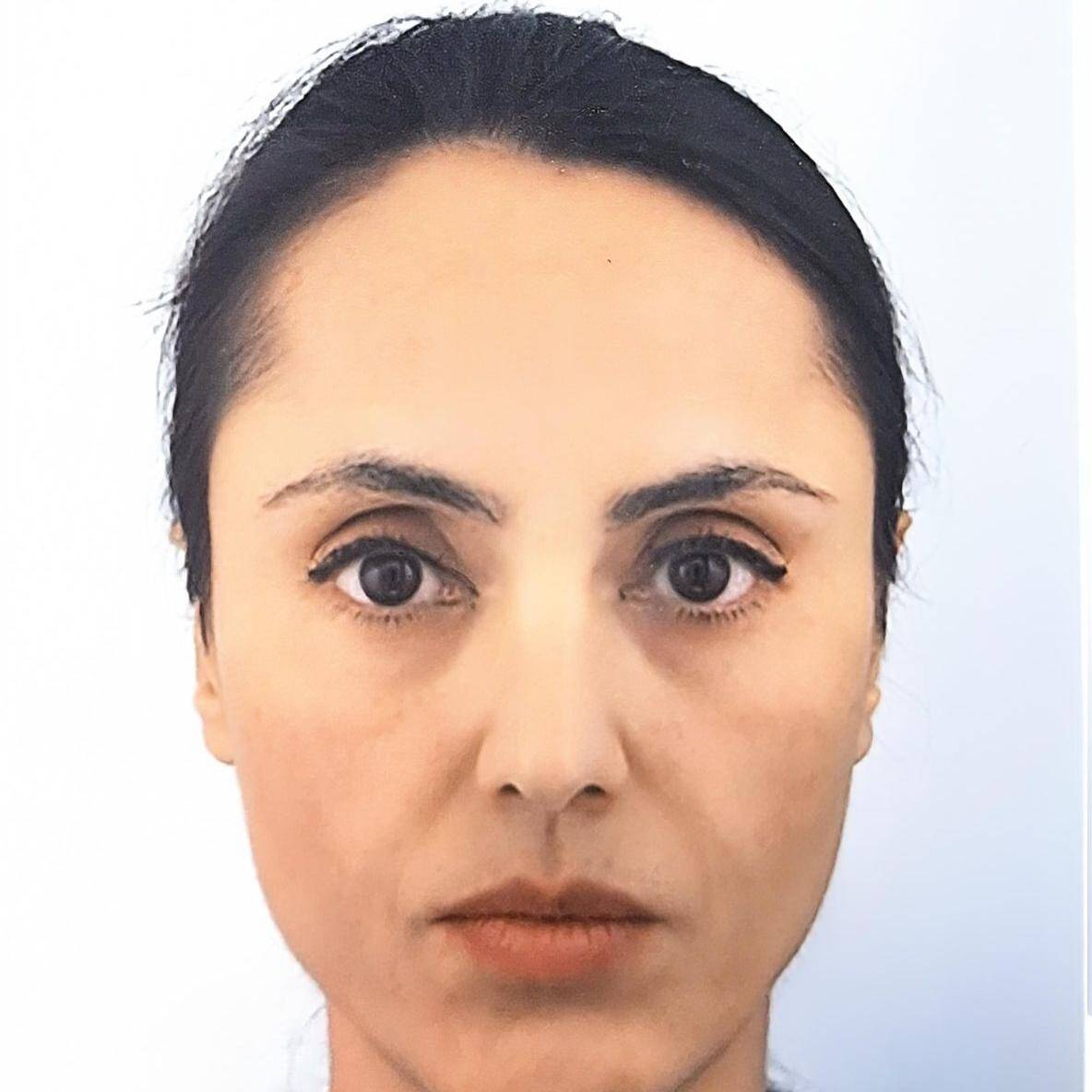 Fatemeh  - Independent Researcher