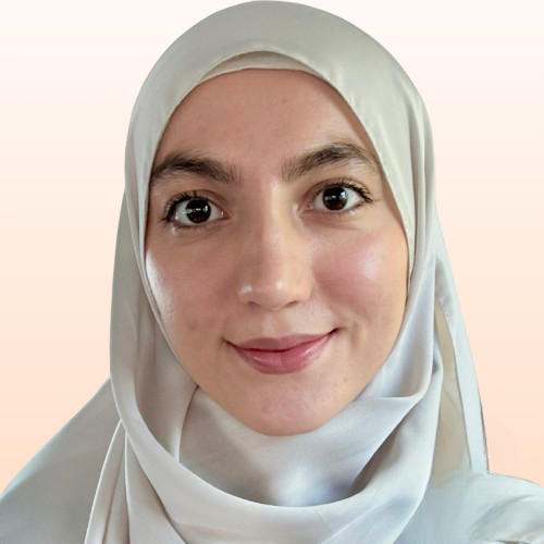 Nihal  - Data Analyst | Chef de projet SI | Power BI