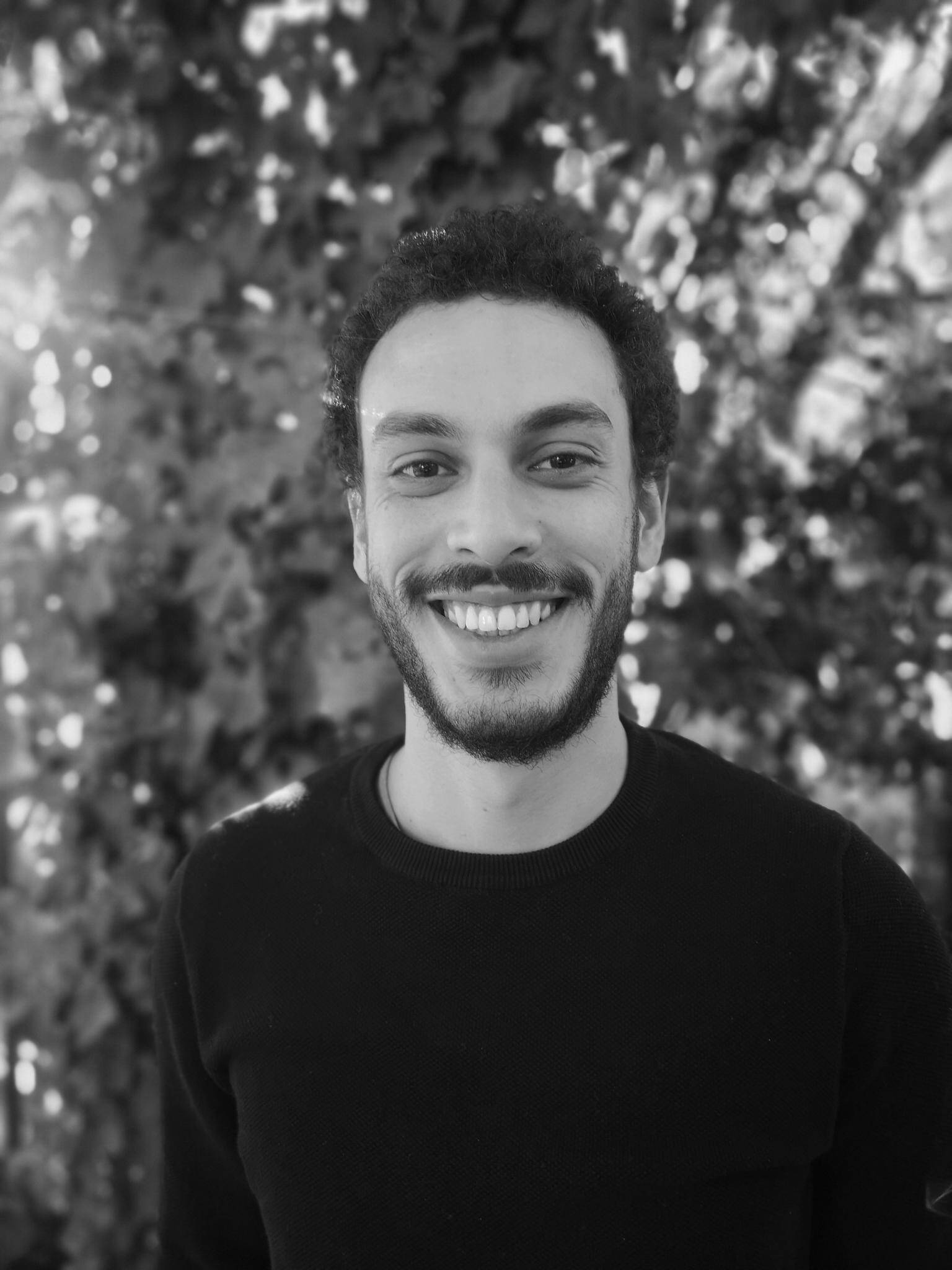 Ahmed Trifa