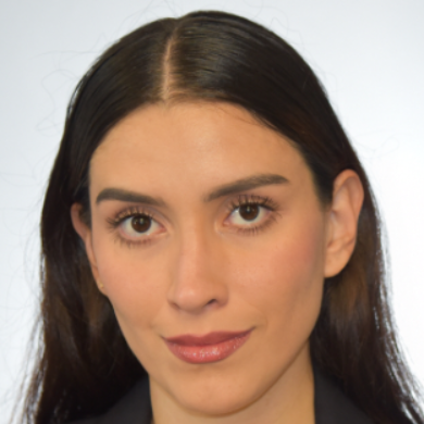 Sara  - Legal Research, Contract Drafting, International
