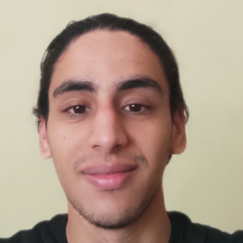 Mohamed El - Web Security Consultant & Vulnerability Researcher