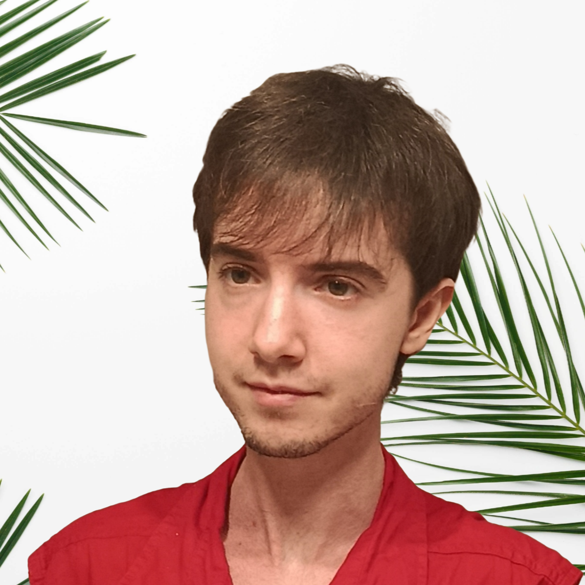 Felix Pozo Gonzalez - Editor de Vídeo & Maquetador Web