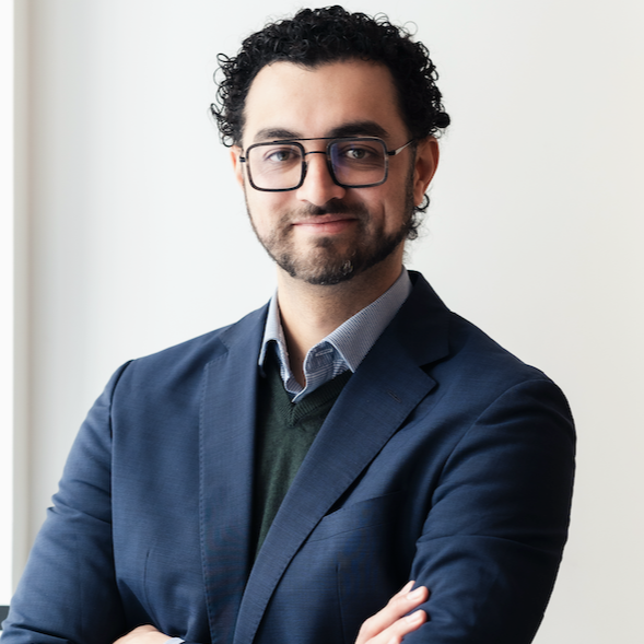 Victor Hugo  - Data & Decision Analytics Consultant
