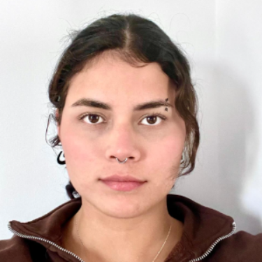 Nicole  - asistente virtual