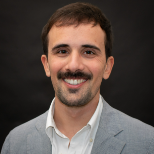 Pedro Girardi - Independent Strategy Consultant