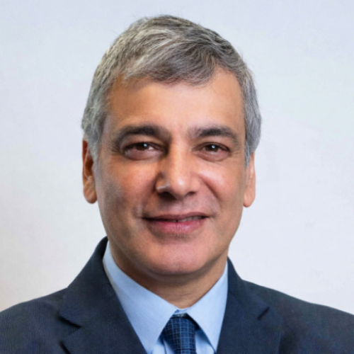 Mojez  - Interim management