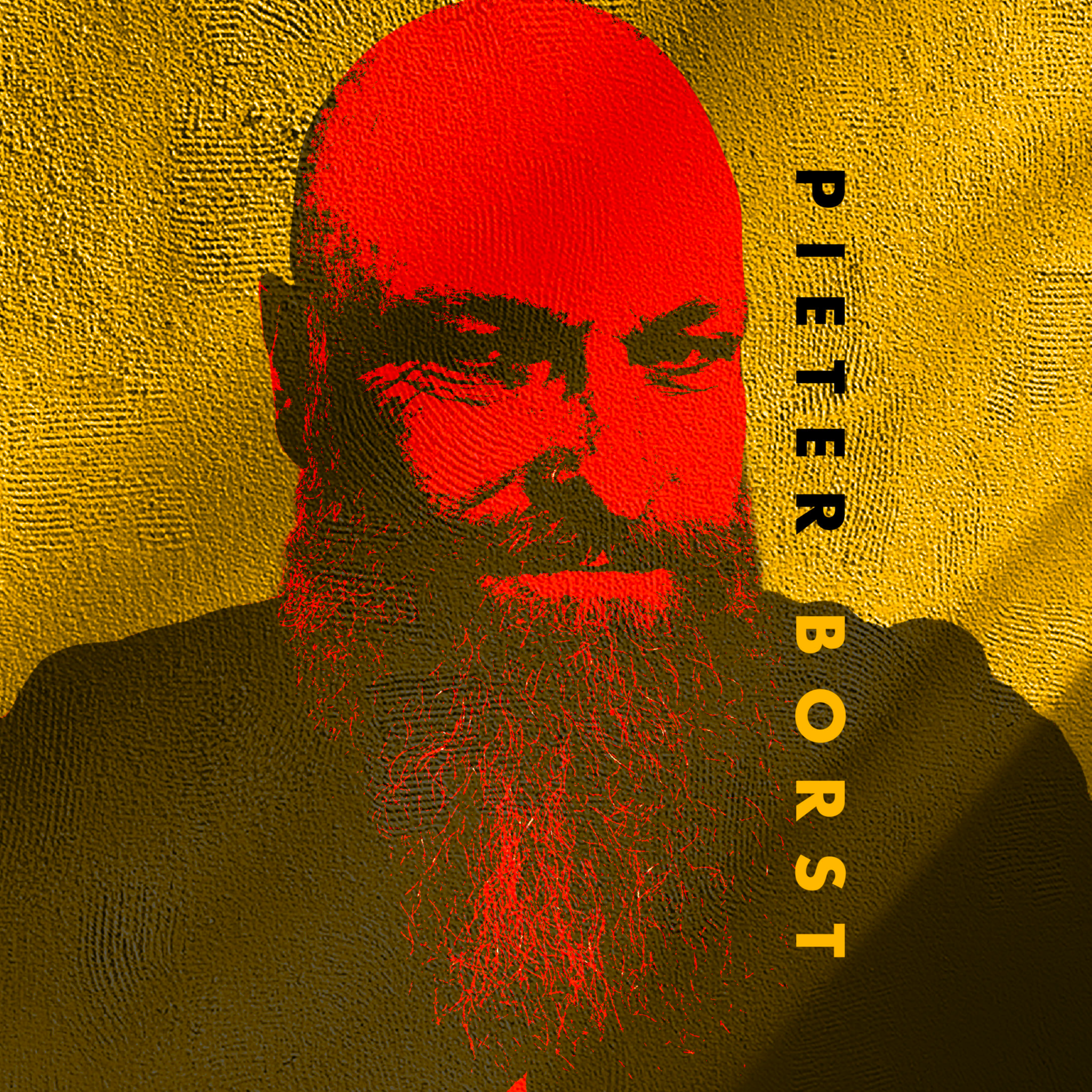 Pieter Borst - Creative Graphic Designer | DTP | Allround Expert