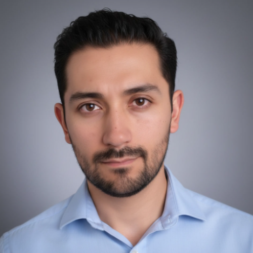 Andres Moscoso - Fractional Program & Delivery Mgr|PMO|Digital & AI