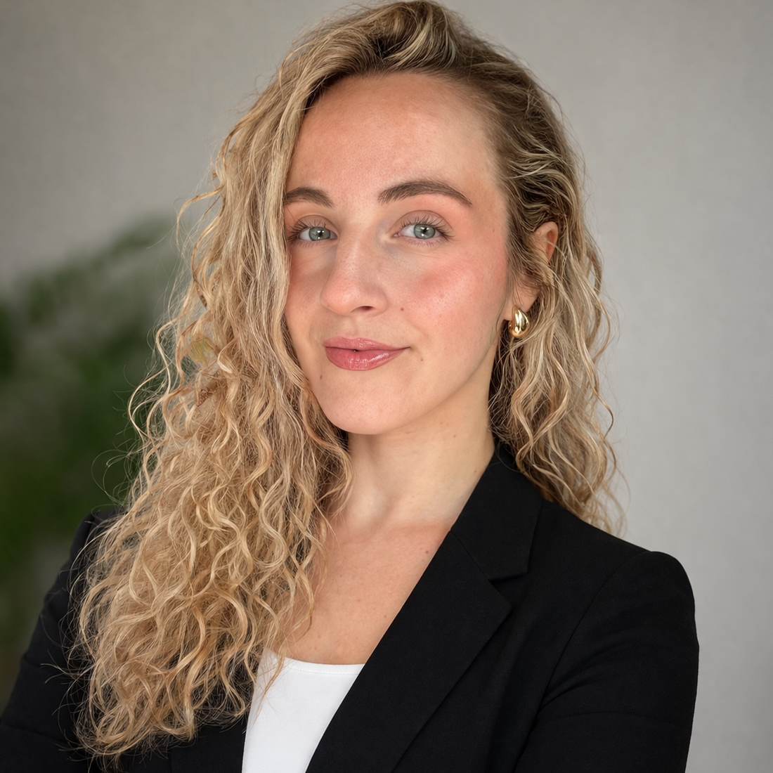 Adina  - Consultoría de software