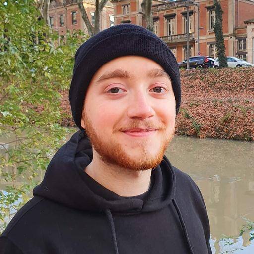 Corentin Barreau - Web Scraping / Crawling Expert | Développeur Go