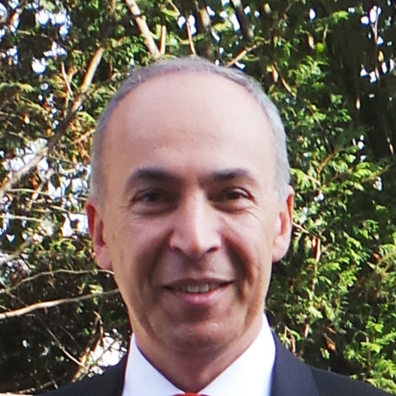 Alain Sezen - Consultant SENIOR en direction de projets