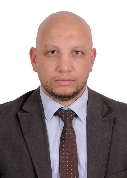 Sherif Said - Project Controls & Portfolio Management Consultant