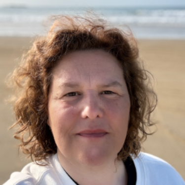 Sophie Boisseau - IT Transformation Director