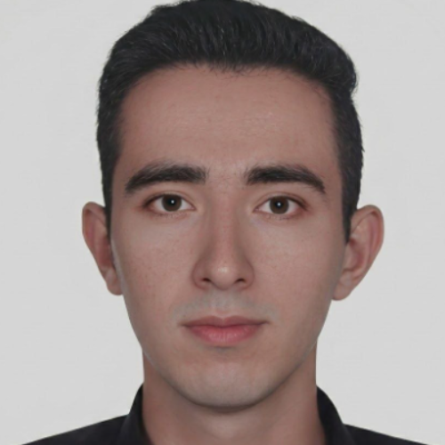 Arash Soltani Hemmat - front end developer