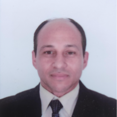 Wael Hussien - System Engineer