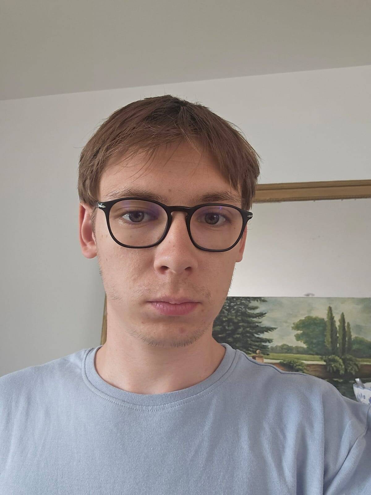 Hilaire Guillaud-Vallée - "Développeur web — Sites vitrines