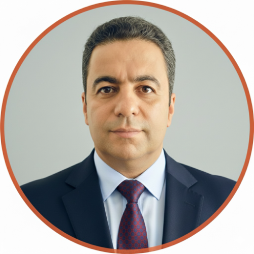Vahid Darzi - Data Analyst | Python, SQL (BigQuery), R, Excel