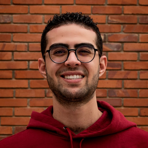 Skander Meziane - Salesforce Tech Lead/Senior Engineer/Developer