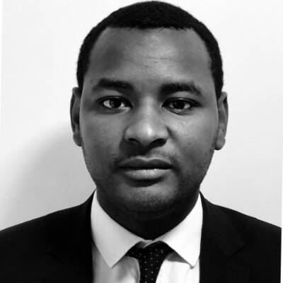 Salim  - Chartered Accountant / CPA auditor