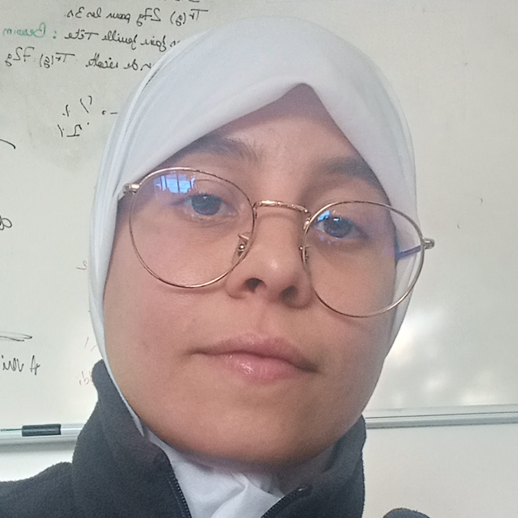 Farhat Manel