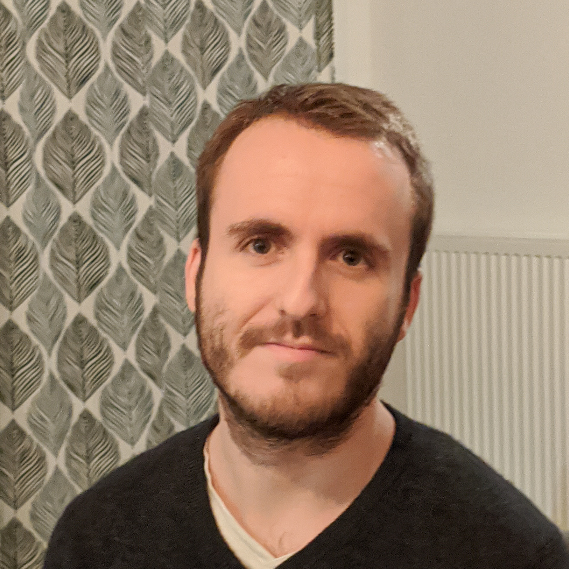 Matthias R. - Développeur C# / .NET fullstack senior
