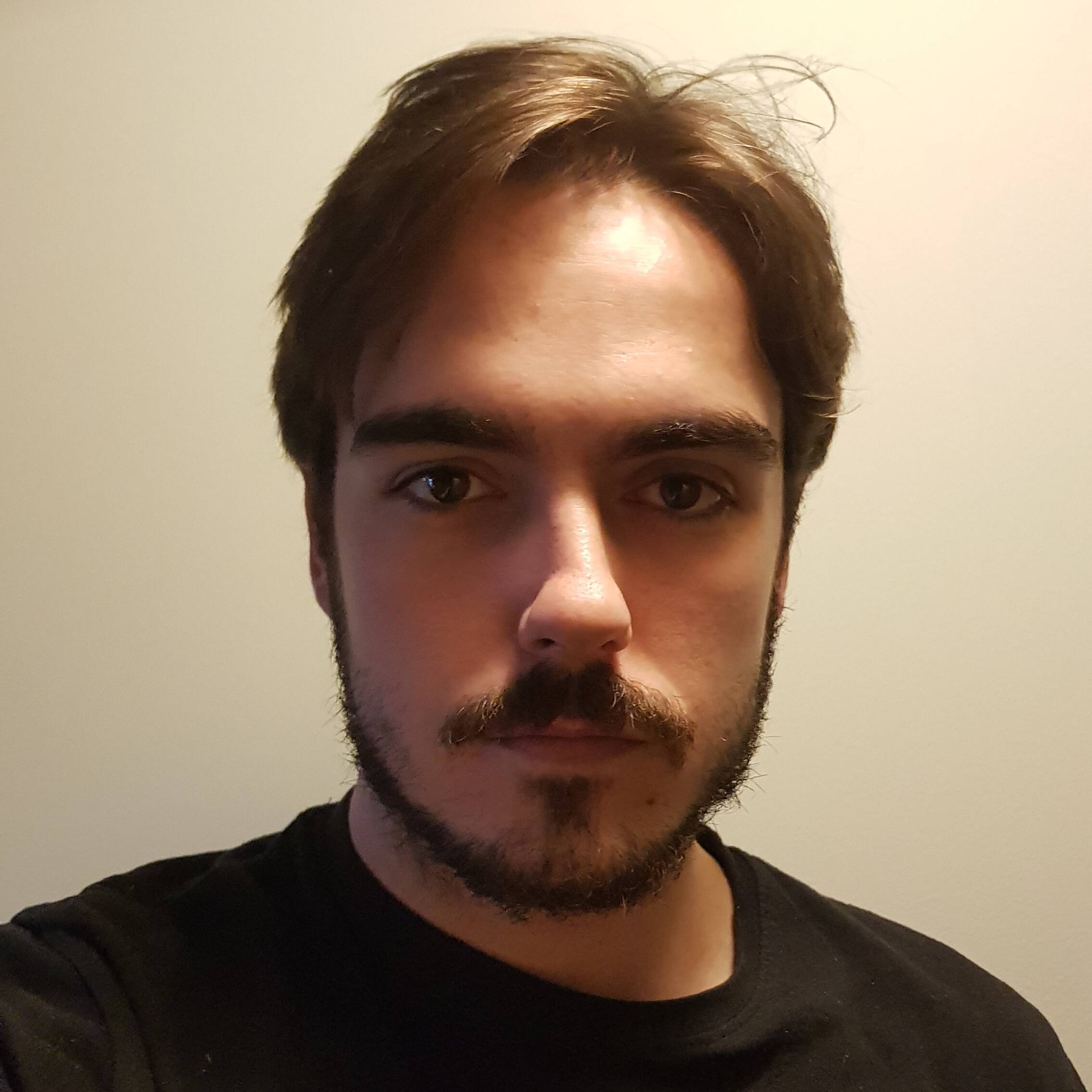 Luis P. - Desarrollador web | PHP, JS, CMS