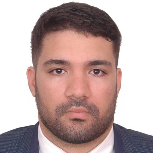 Hamza D.