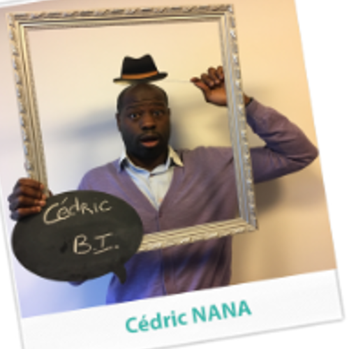 Cédric Nana - Expert DataVisualisation - QlikView 12 / QlikSense