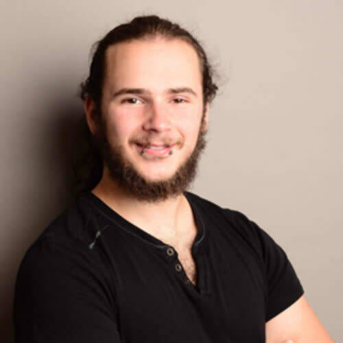 Lion Ickert - C#/.Net Developer