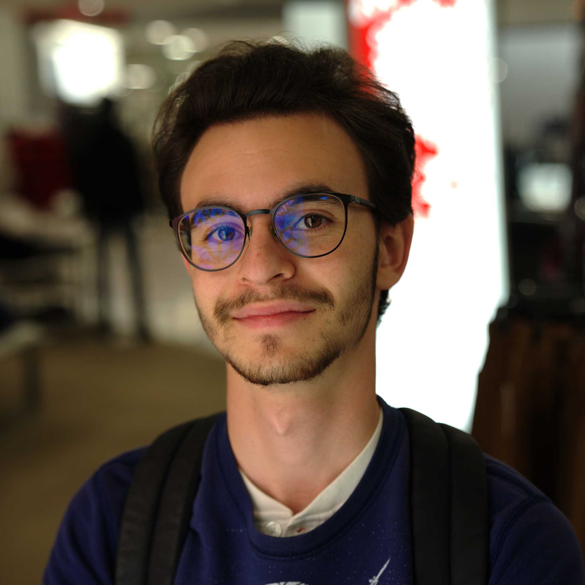 Raphaël Vigée