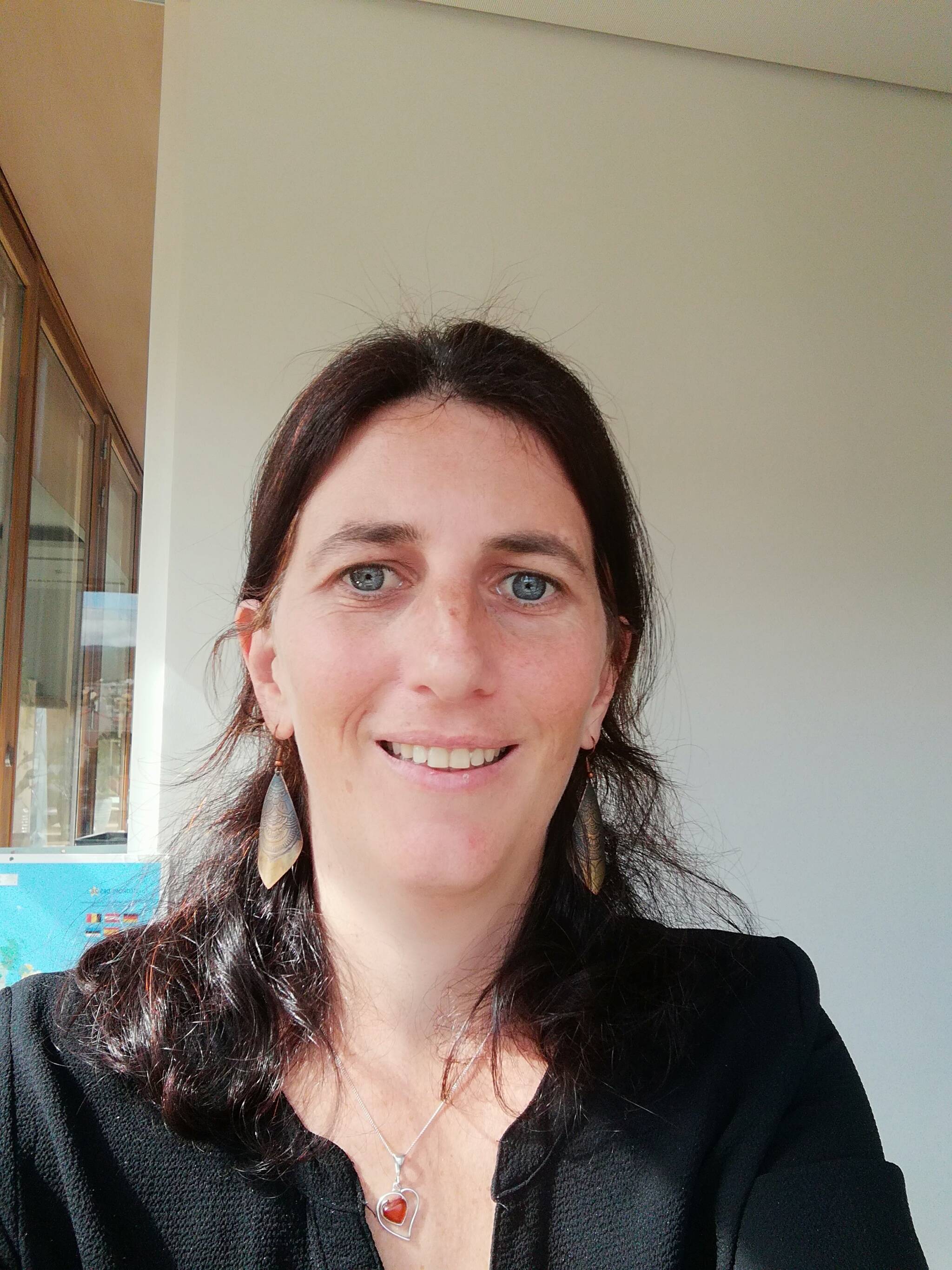 Anne-Lise Billion - Consultante SI, Product owner, Business analyst