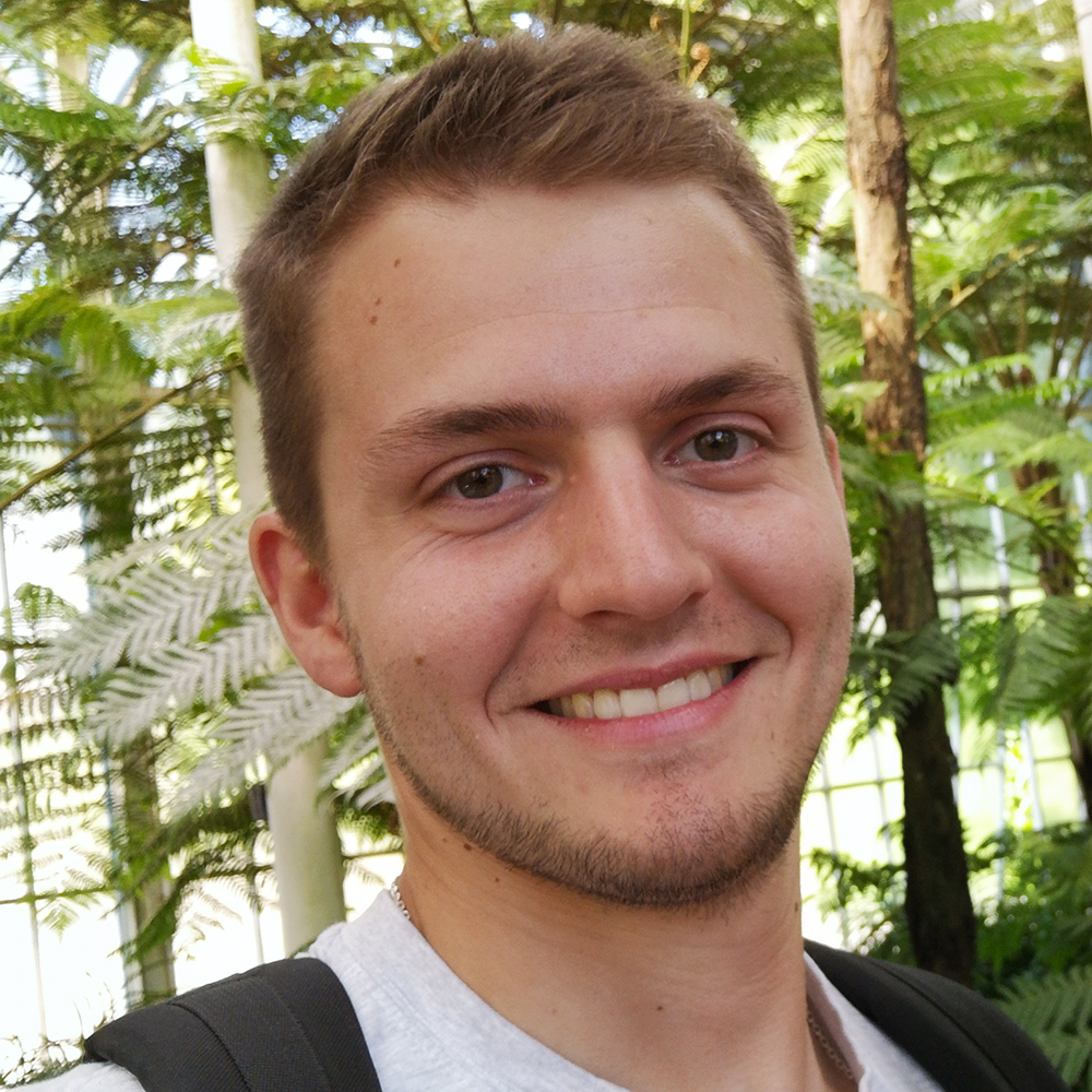 Nicolas Boullay