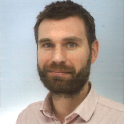 François C. - Data Analyst - Expert Power BI - Microsoft Fabric